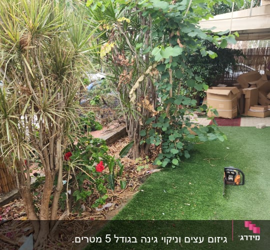 מסור שרשרת על דשא מלאכותי ליד שיחים ועצים